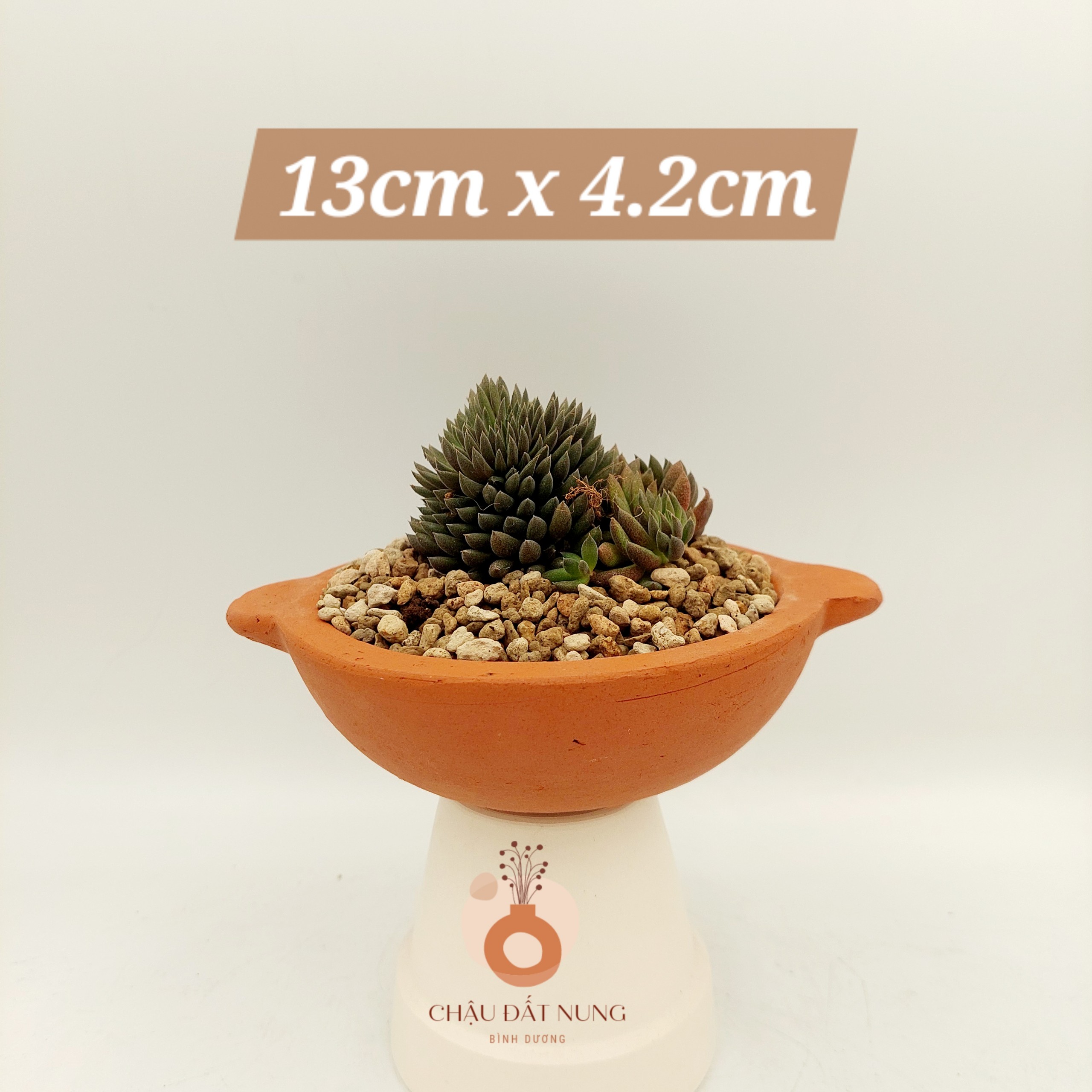 Chậu đất nung, chậu sen đá - Chảo 1342, miệng chậu 13cm, chiều cao 4.2cm