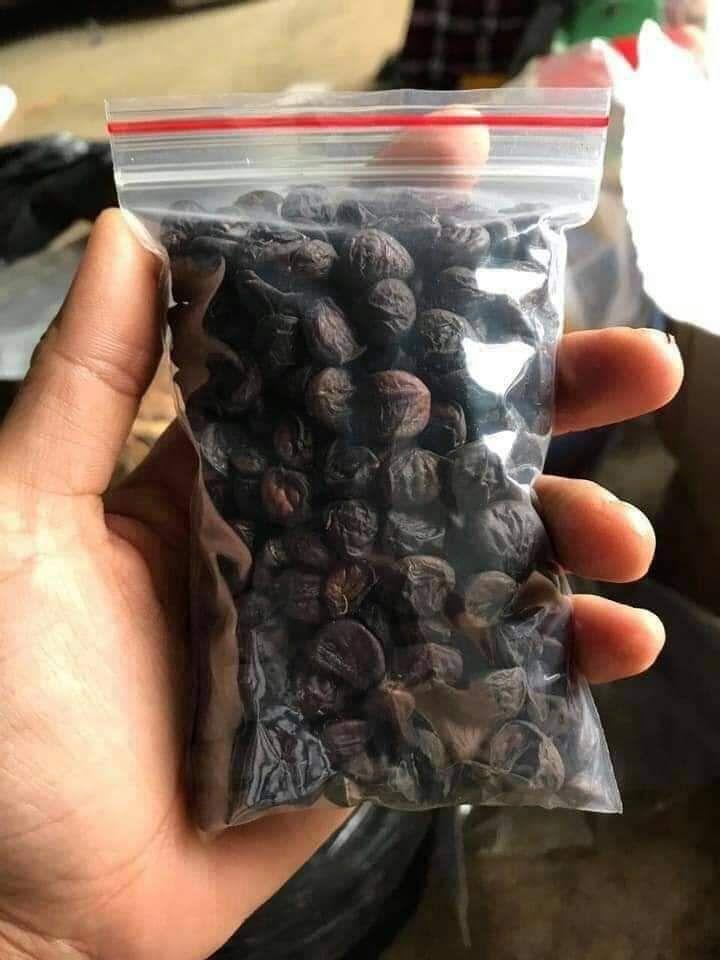 100 HẠT DỔI NẾP