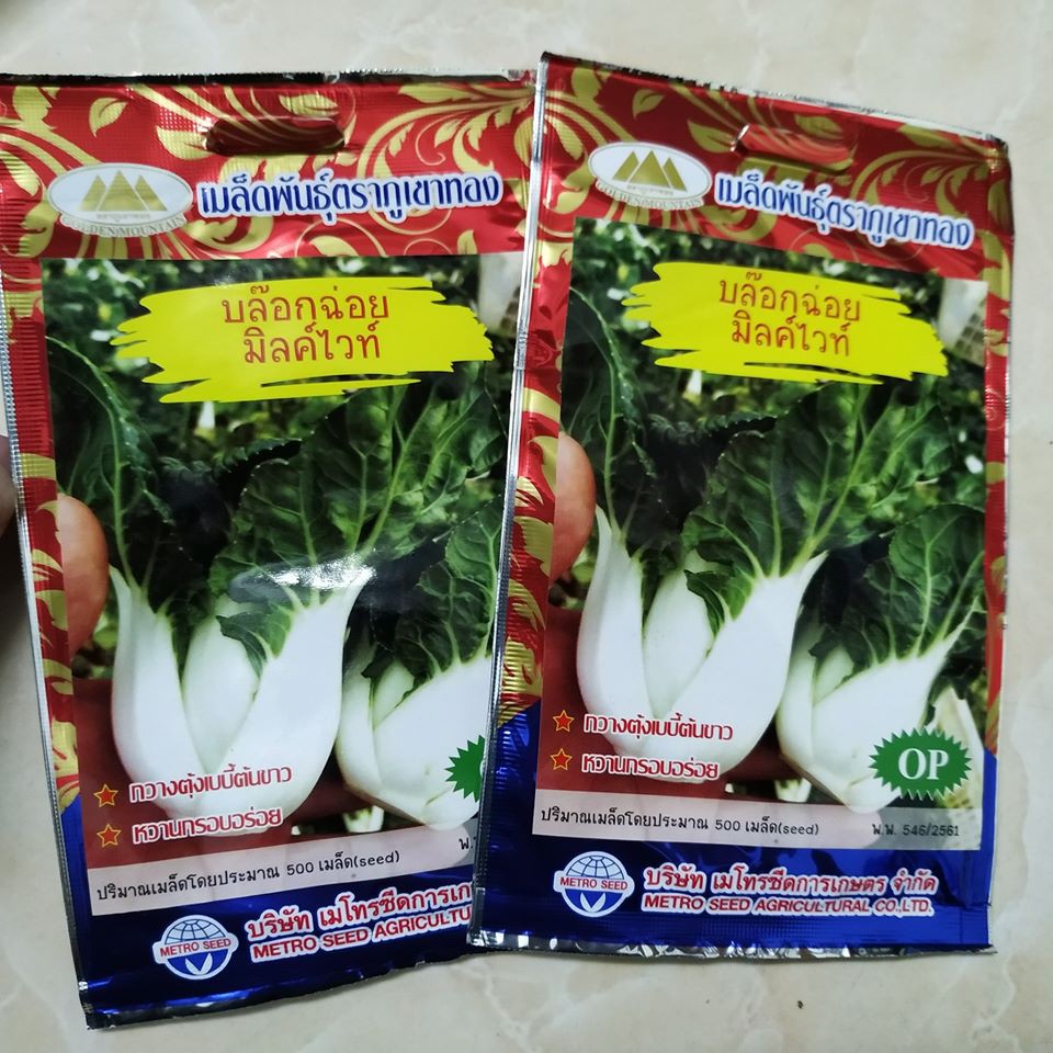 500 HẠT GIỐNG CẢI SHIRO THÁI LAN