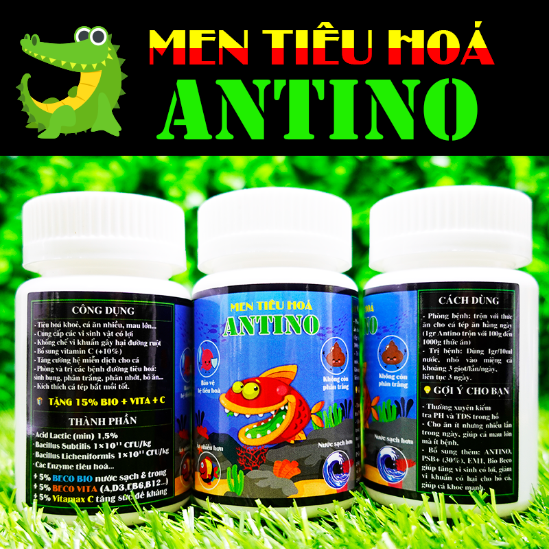 Men tiêu hoá antino cao cấp cho cá tép