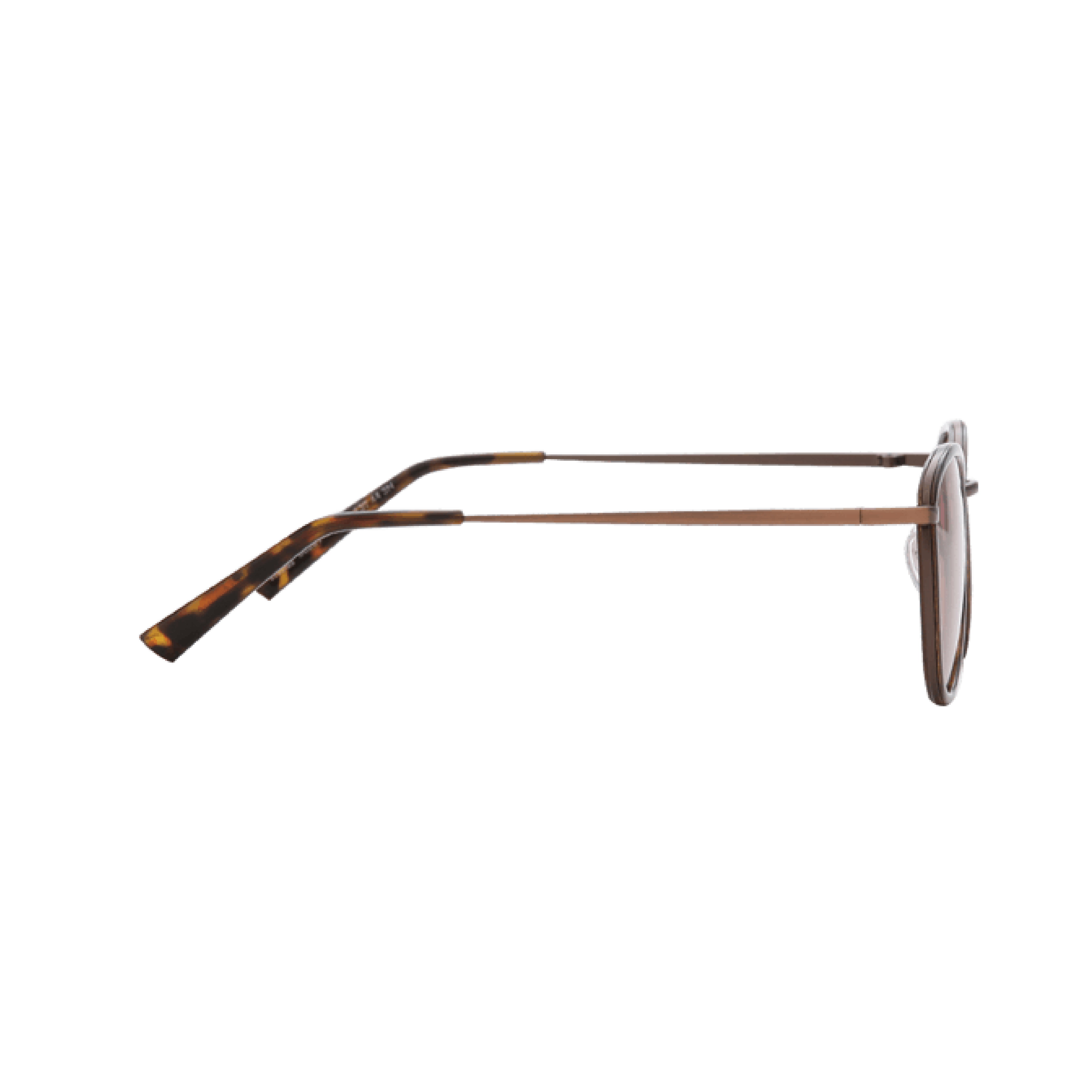 Kính mát Sunnies Studios Gọng Tròn Dallas in Currant
