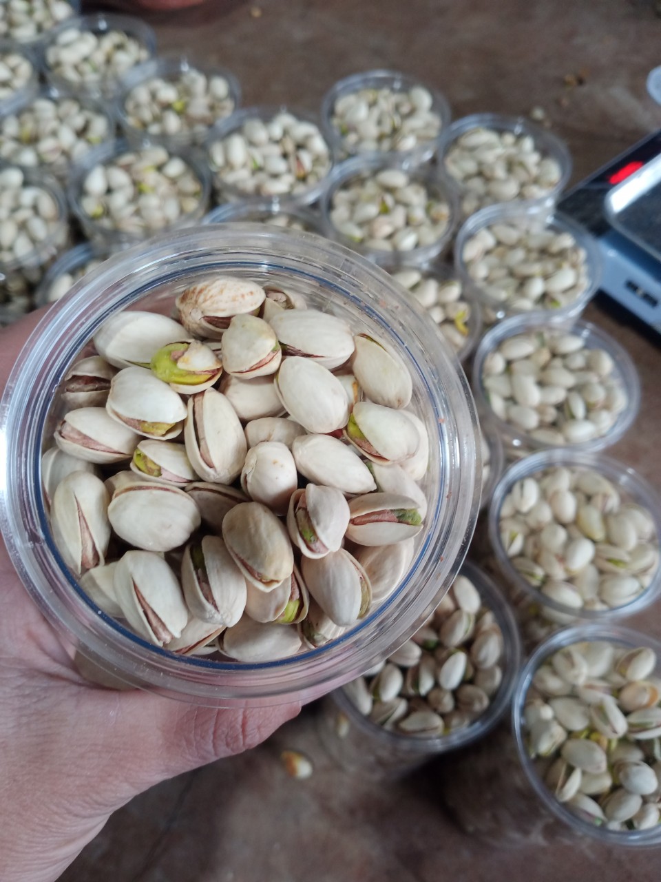 HẠT DẺ CƯỜI HŨ 500GR - HẠT NHÀ BẮP