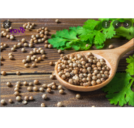 100g Hạt mùi Coriander seed hiệu atlas  (chiết từ gói lớn)