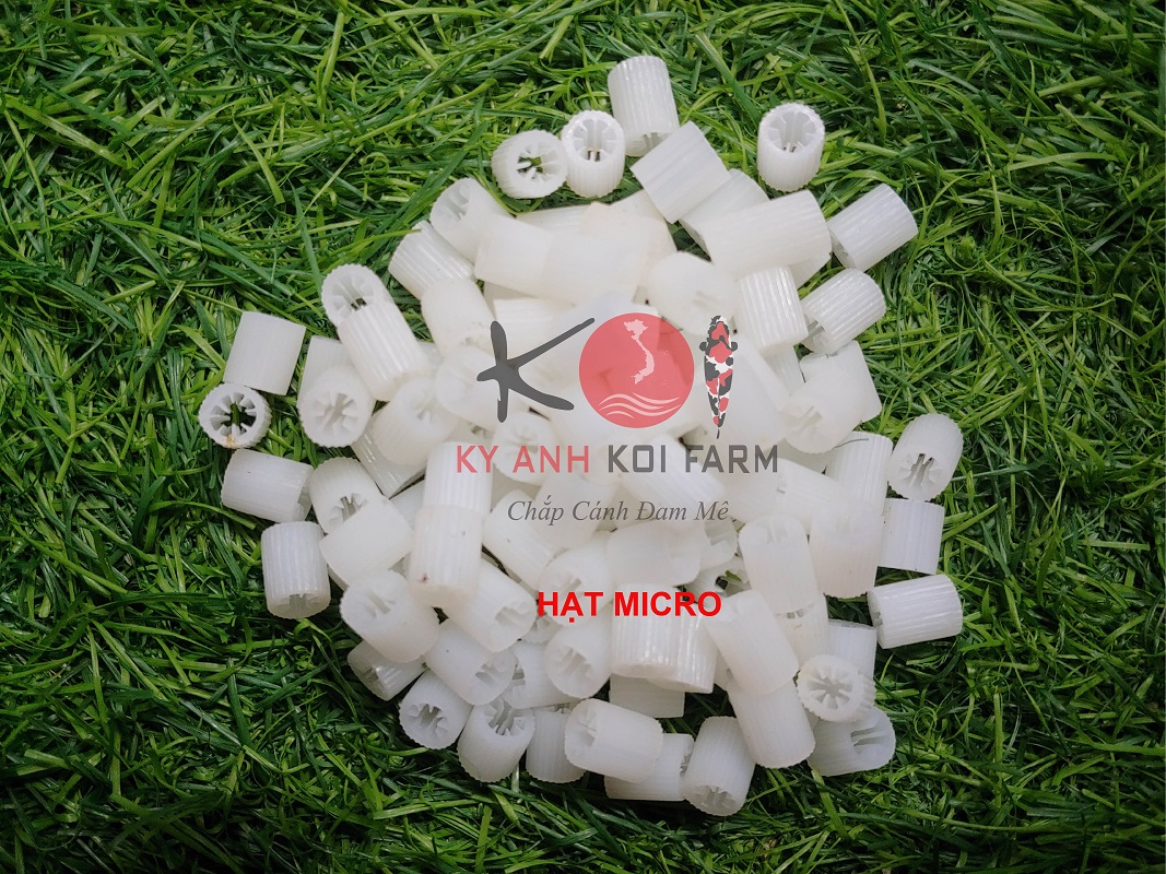 [HCM]Hạt lọc kaldnes trọng lượng 1kg