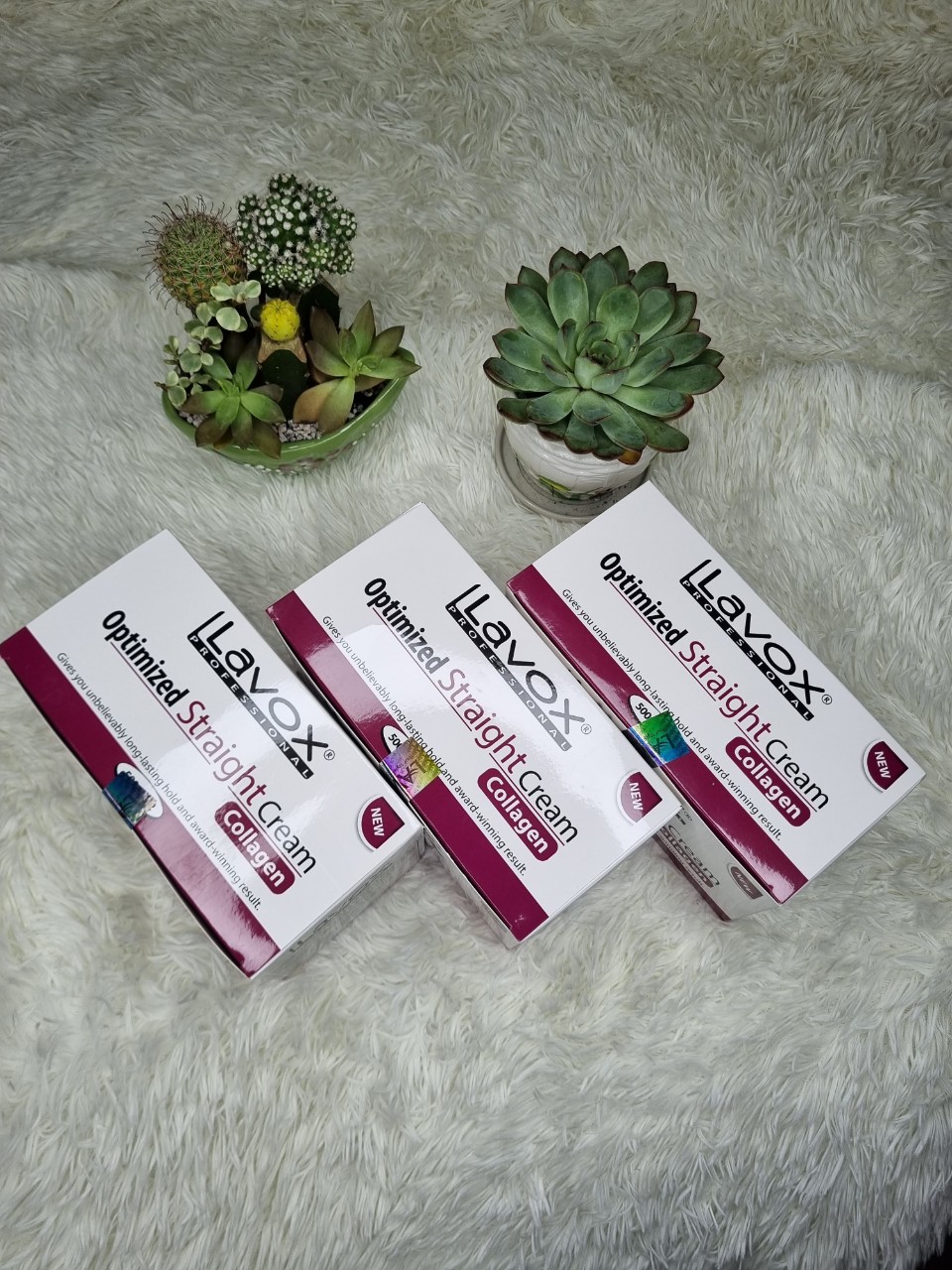 DUỖI LAVOX TÍM