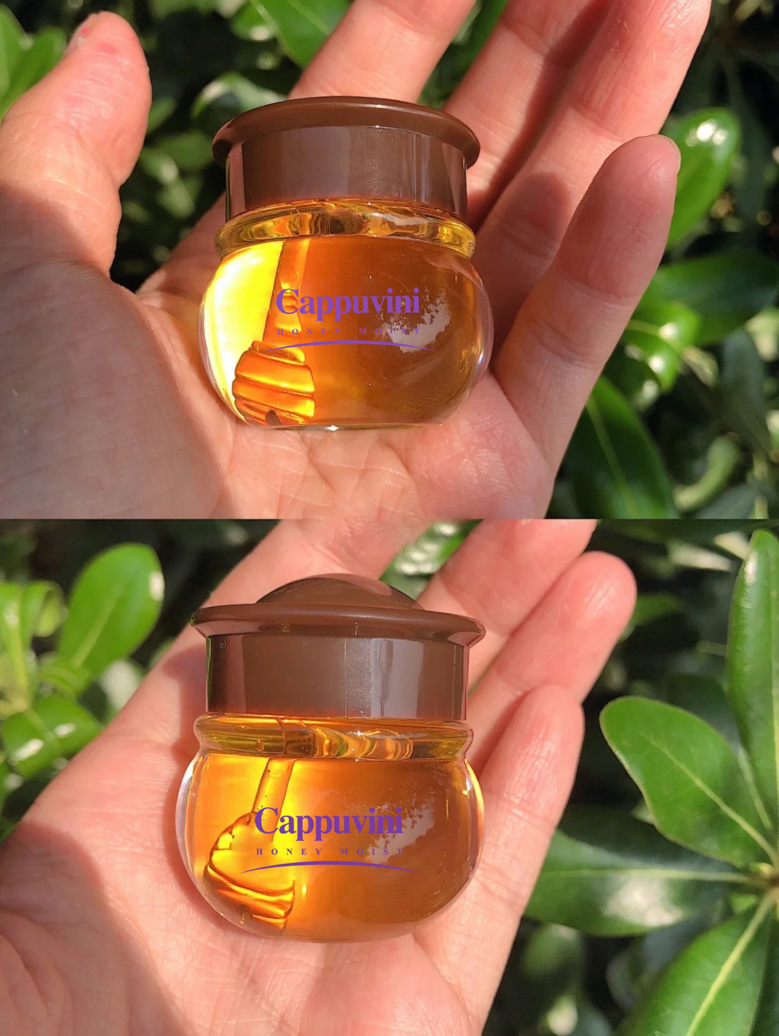 Son dưỡng môi mật ong CAPPUVINI CP05