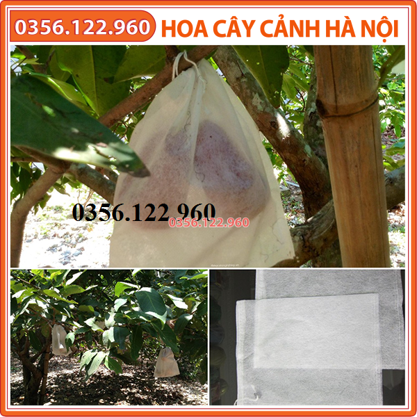 100 Túi bao trái cây chuyên dùng bao trái xoài, bưởi, ổi, mít, mận Kt18x18 cm