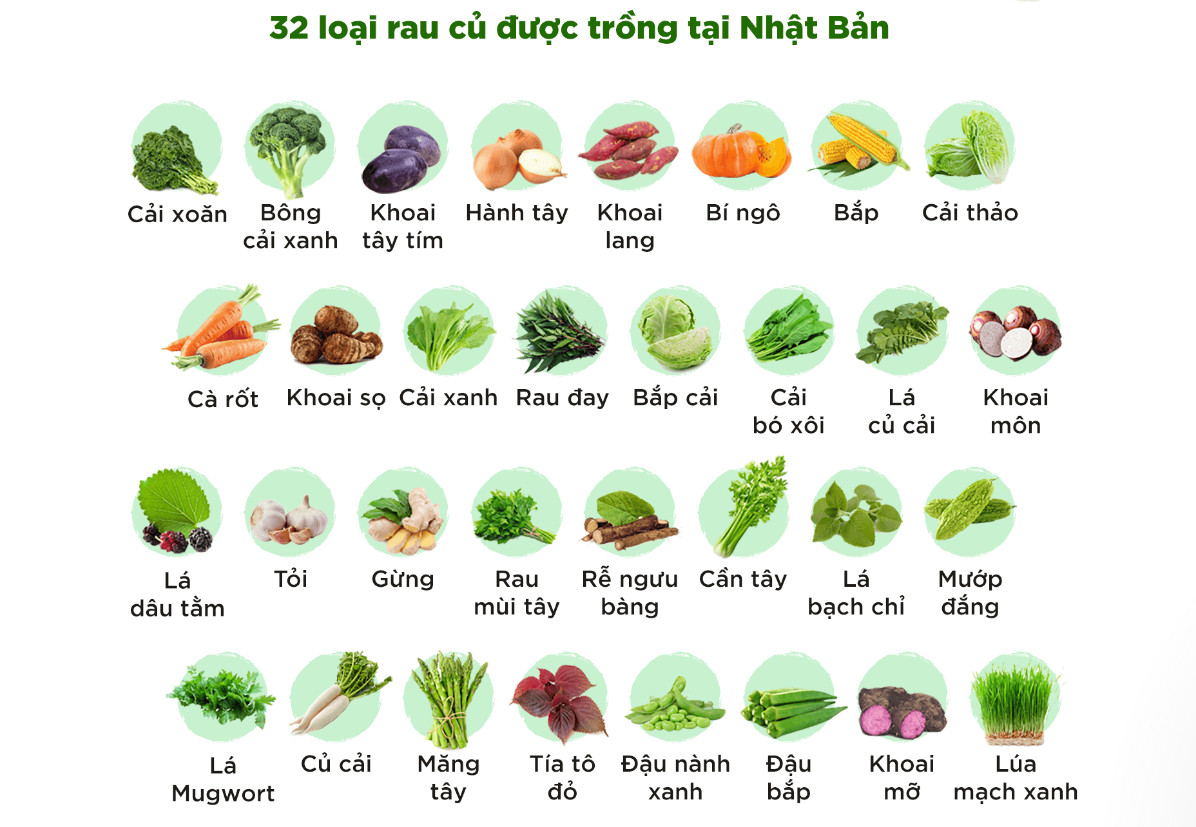 (DATE 11/2025) VIÊN UỐNG RAU CỦ DHC NHẬT BẢN (GÓI DÙNG 20 NGÀY)