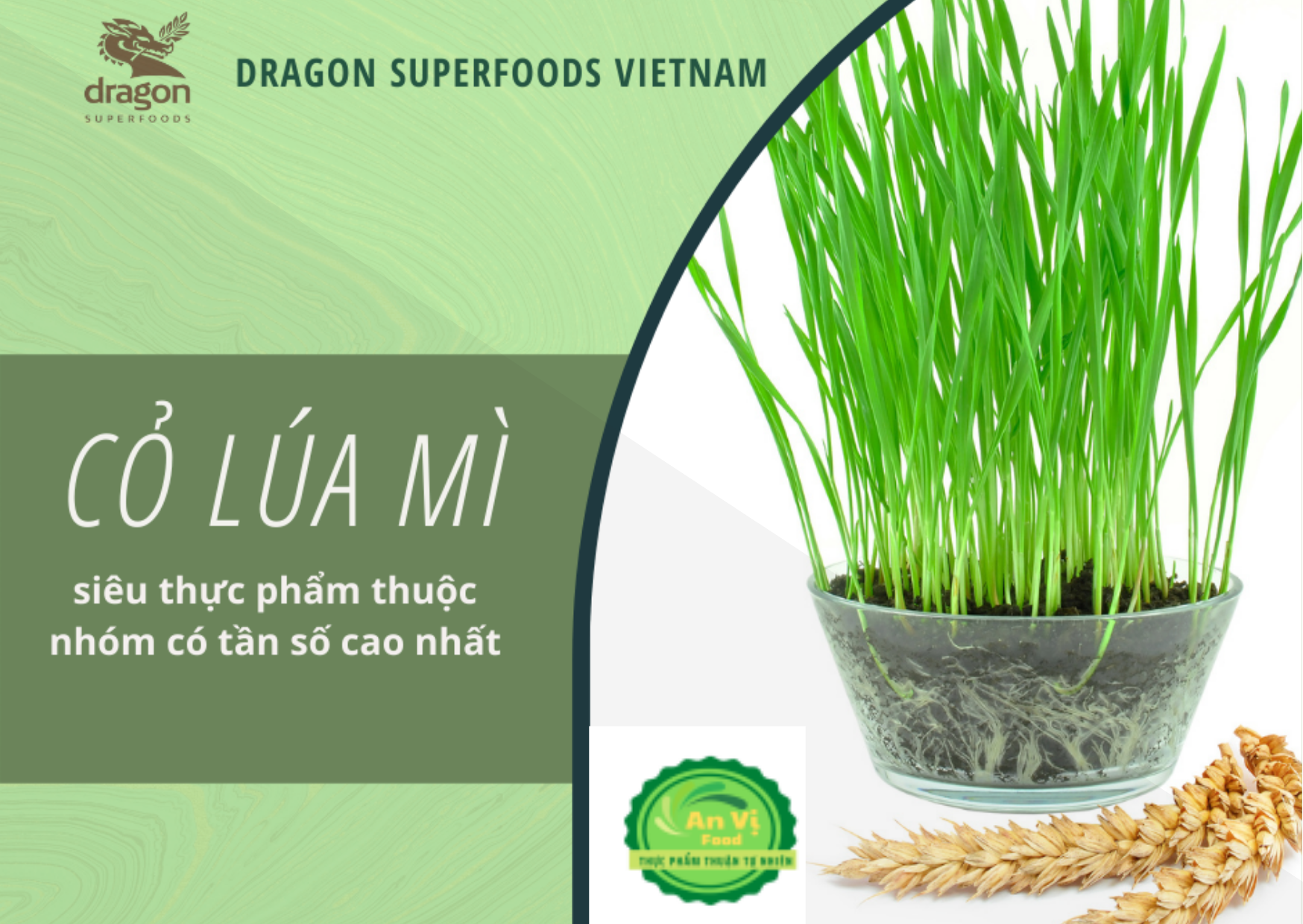 Bột cỏ lúa mì hữu cơ