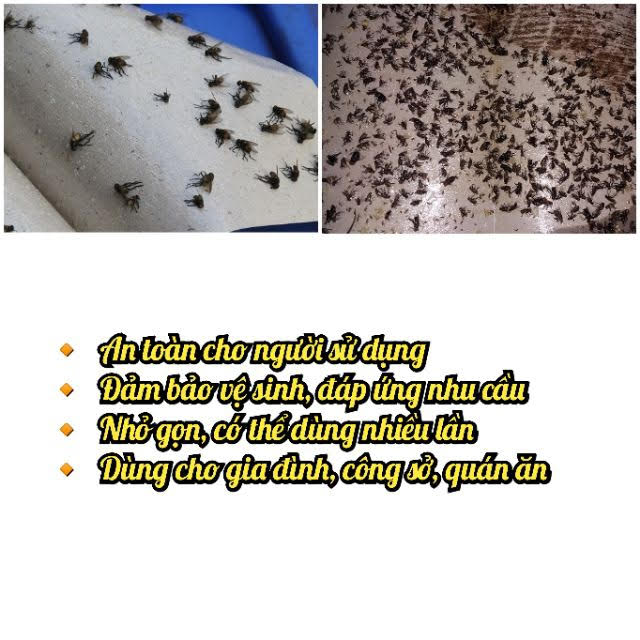 Keo dính ruồi siêu dính (10 tấm)