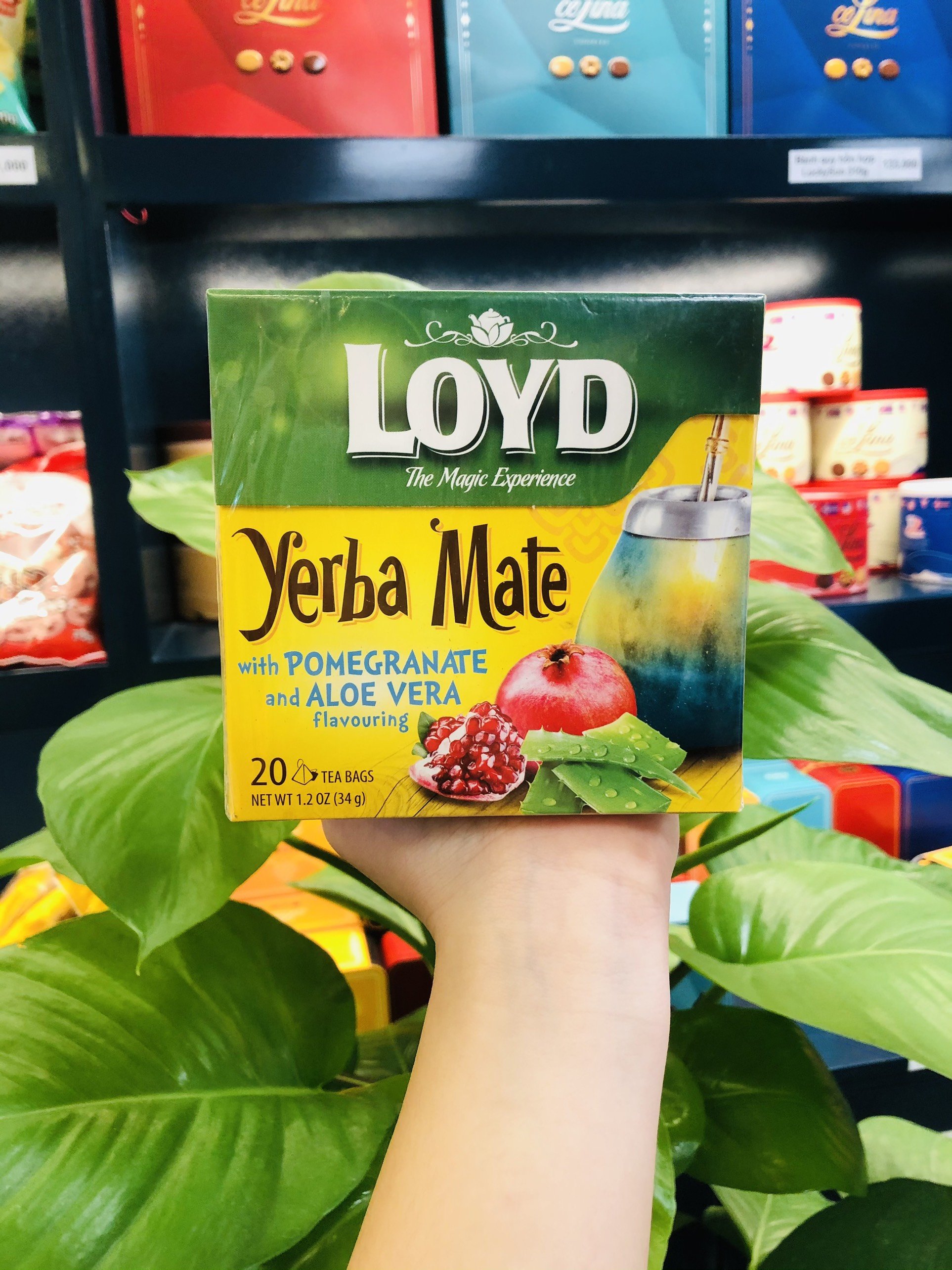 TRÀ LOYD DATE T3/4-2024