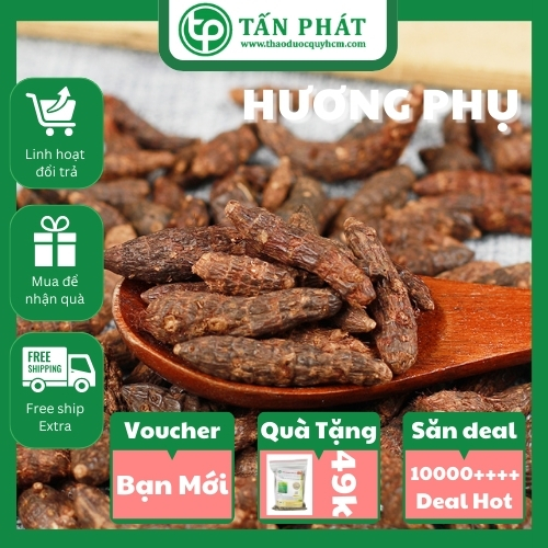 [Hàng mới về] Hương phụ khô 500g (Thơm, Sạch) , Cỏ gấu khô - Hỗ trợ cải thiện sức khoẻ cực kỳ hiệu quả