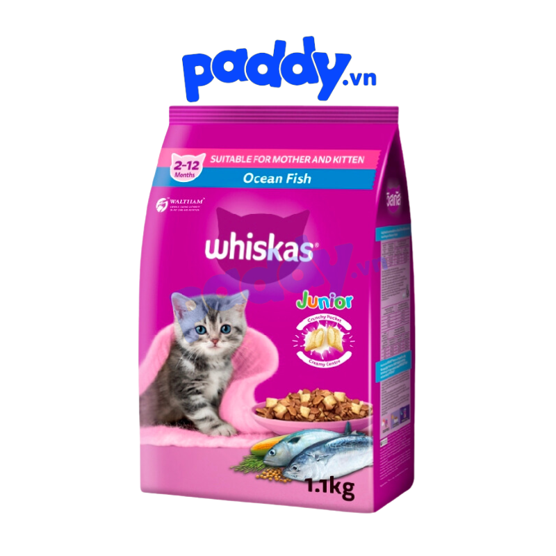Hạt Whiskas Junior Cho Mèo Con
