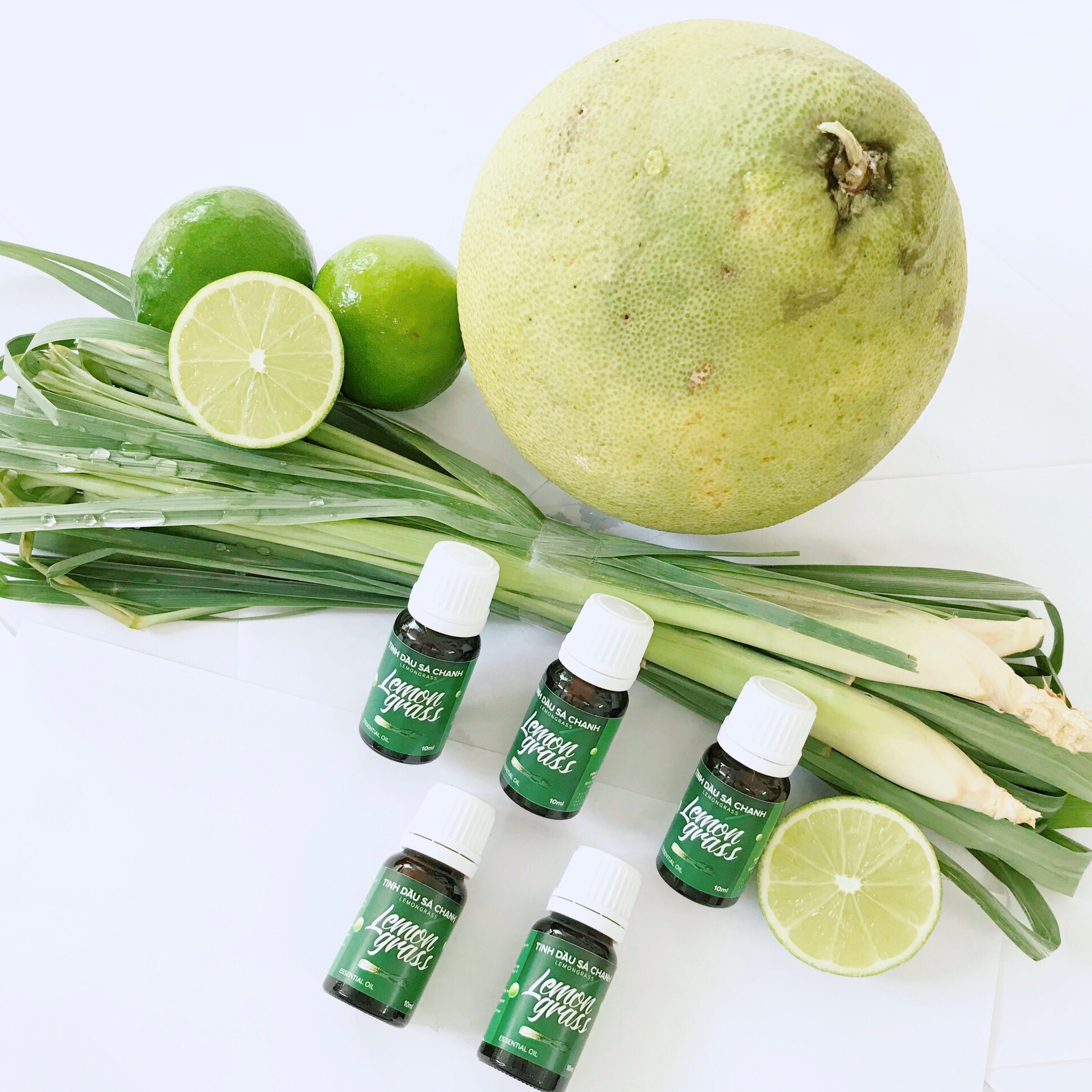 Tinh dầu sả chanh 10ml