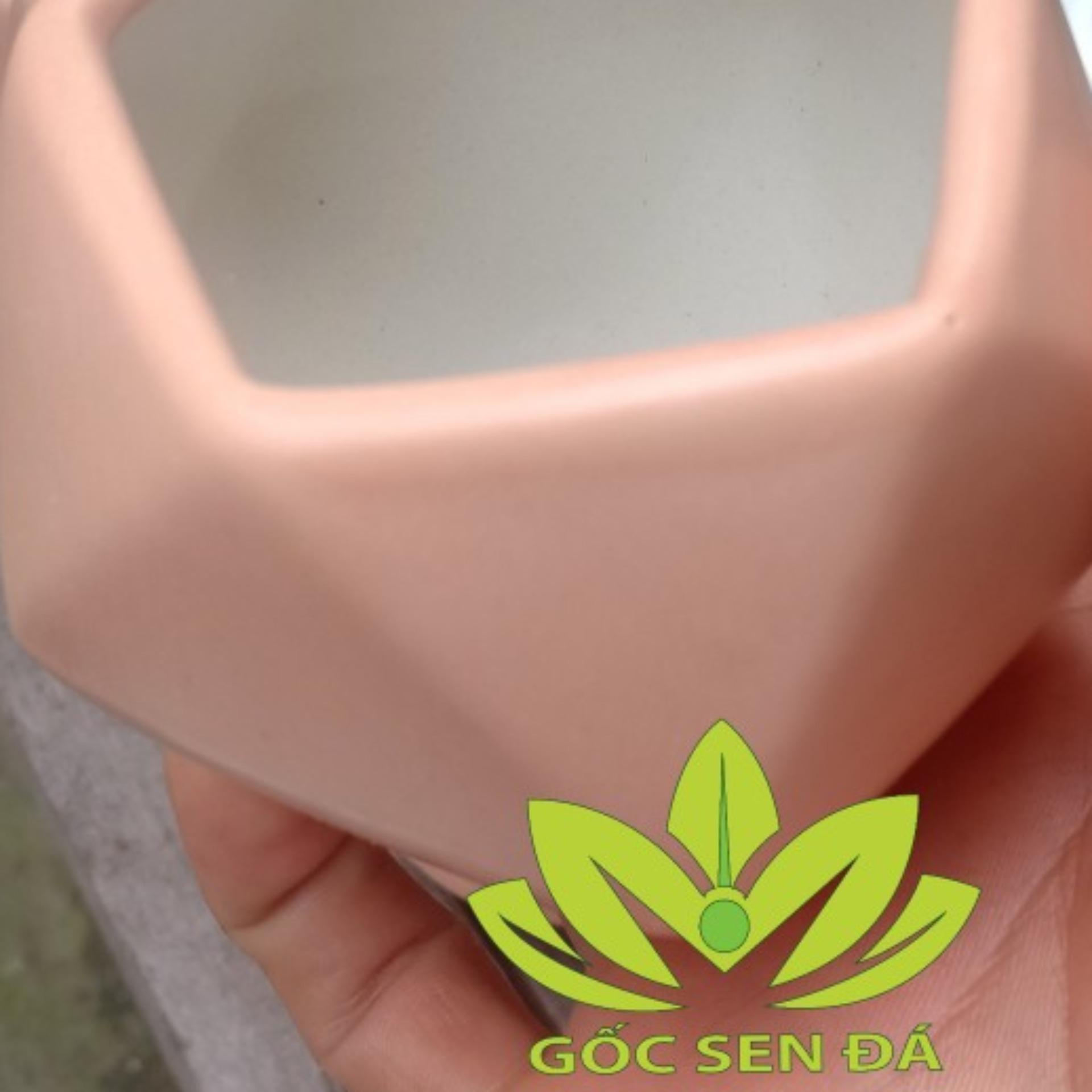 Chậu gốm R 8 cm