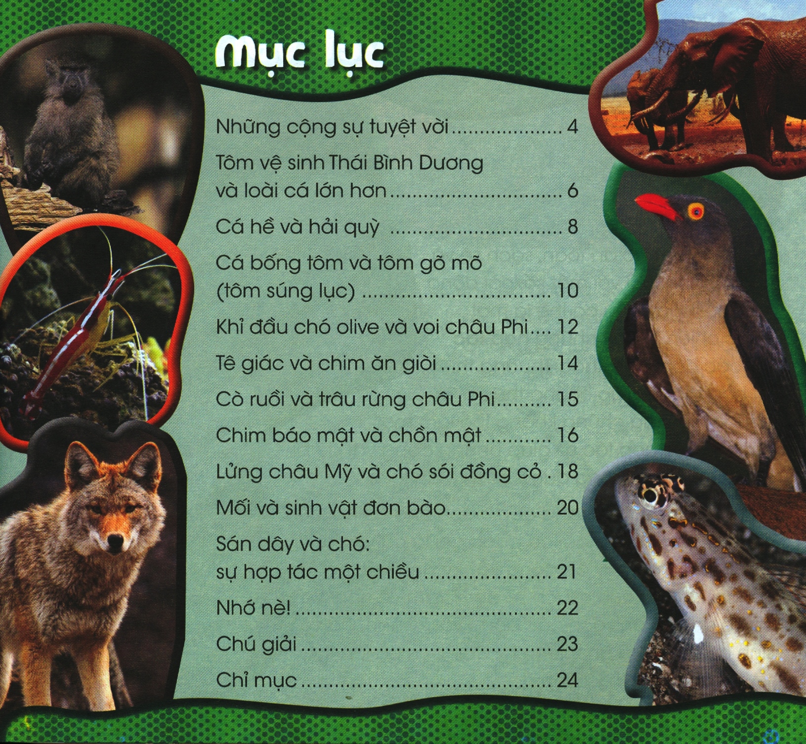 Độc Lạ Phi Thường - Quan Hệ Sống Còn