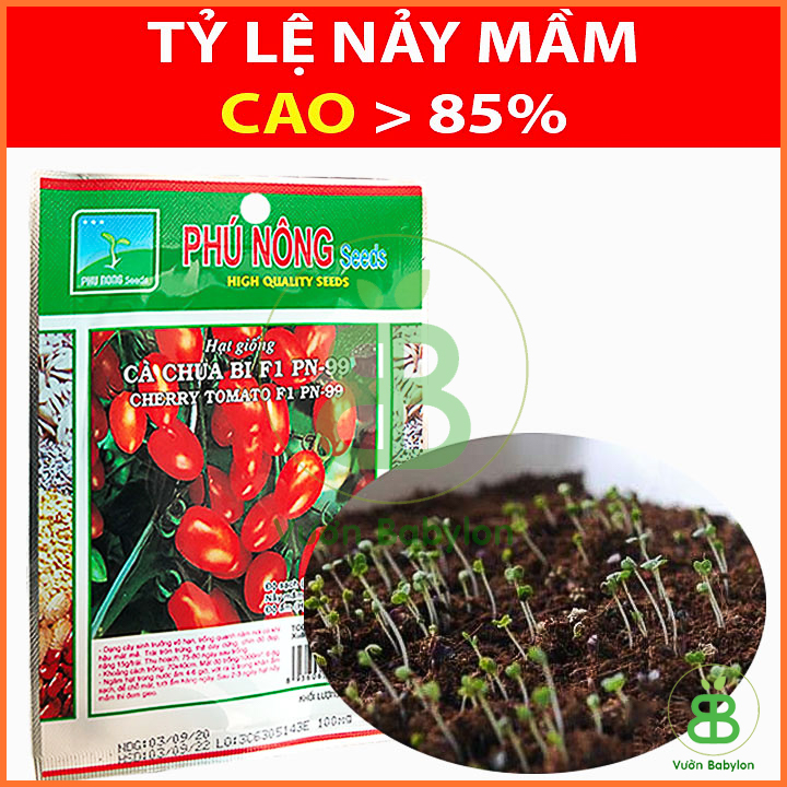 Hạt Giống Cà Chua Bi F1 Siêu Quả