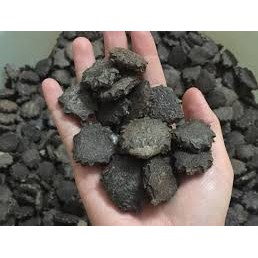 Hạt quả gấc thuần cao sản