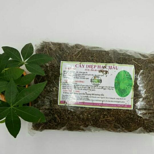 1kg cây chó đẻ răng cưa diệp hạ chấu