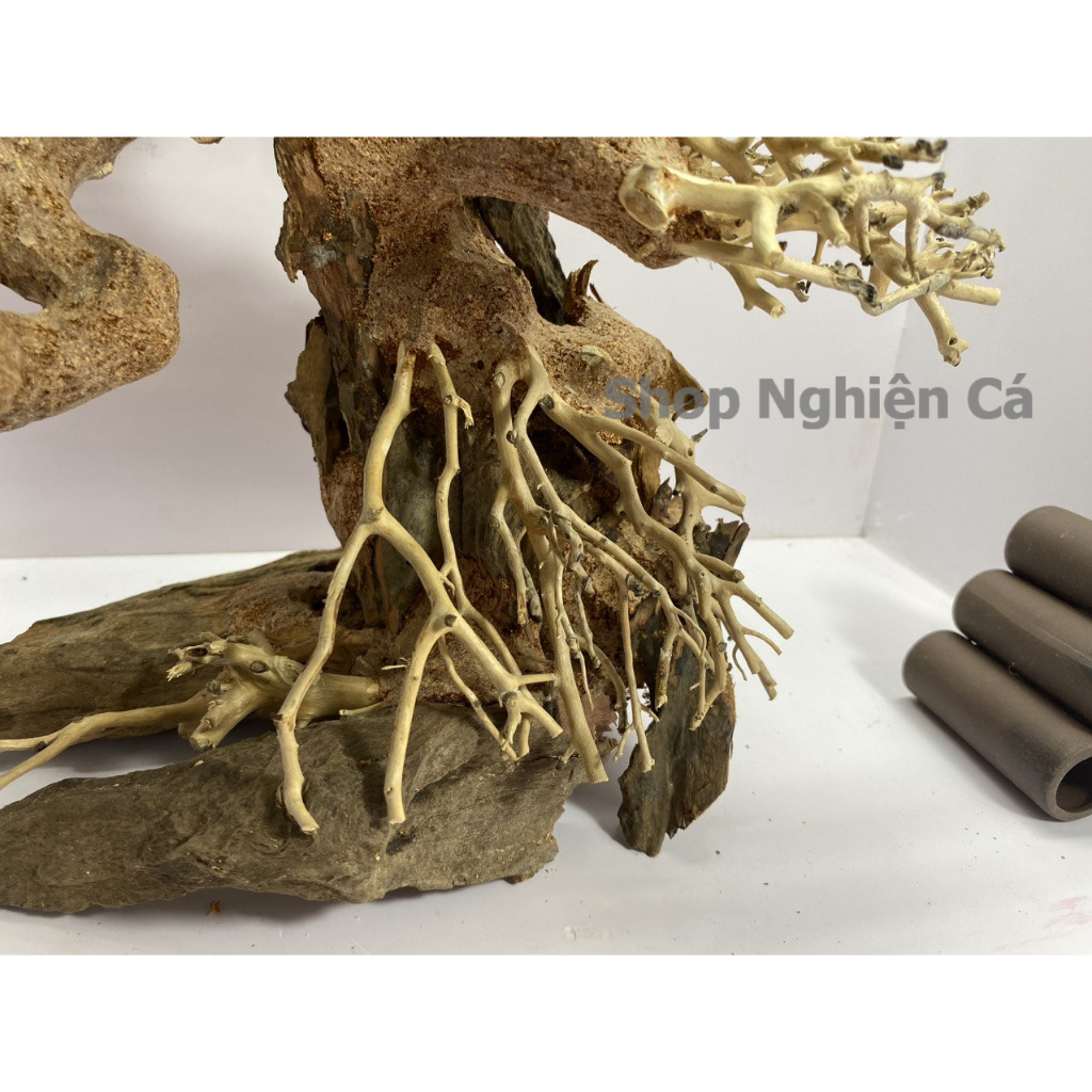 Lũa Bonsai Mini Trang Trí Bể Cá - Bể Thủy Sinh Dáng Đổ