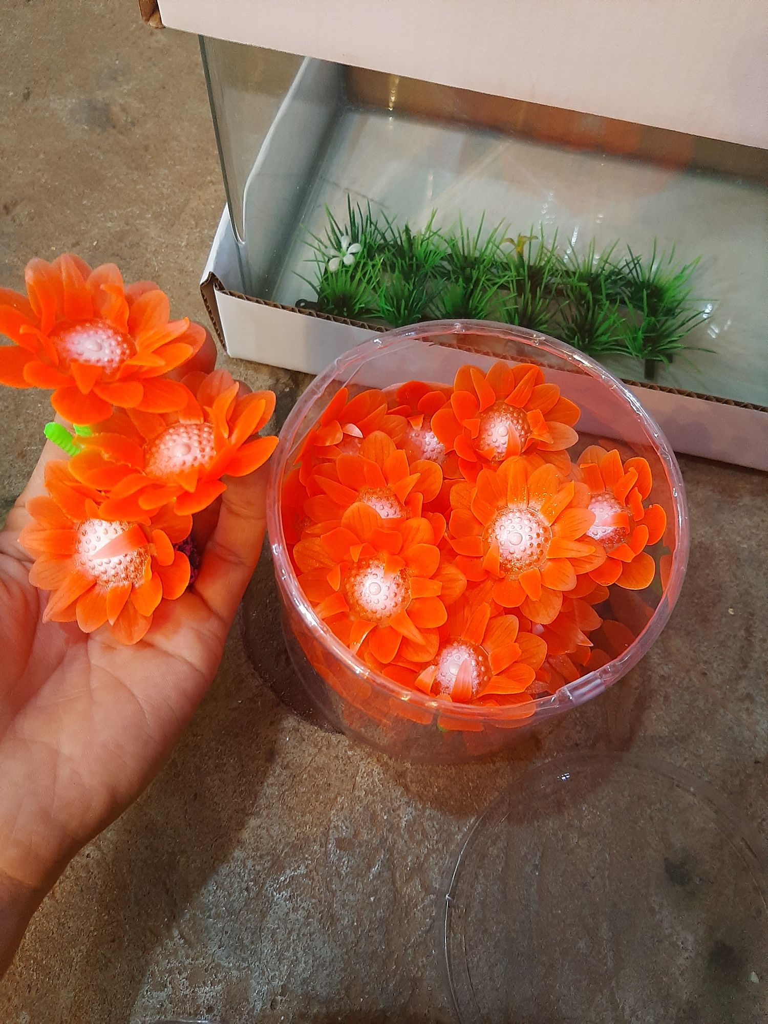 Rong mini để hồ cá, bể cá, thủy sinh, cảnh giả.