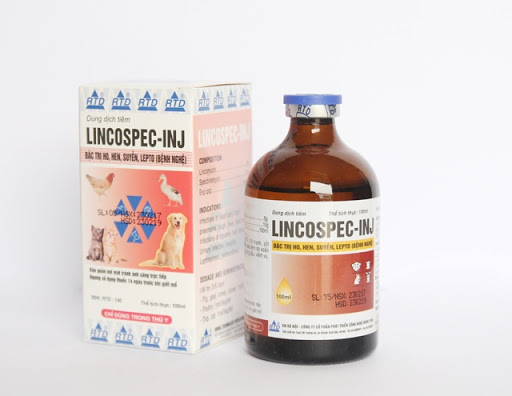 Lincospec INJ [ 20 ml  ] đặc t.rị khò khè - PHÂN XANH - SƯNG PHÙ -CHÍCH TAN SAU ĐÁ
