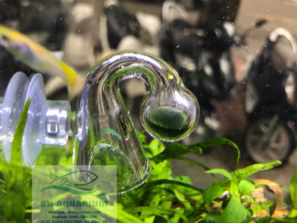 [HOÀN TIỀN 10%]Bộ test Co2 Up-Aqua