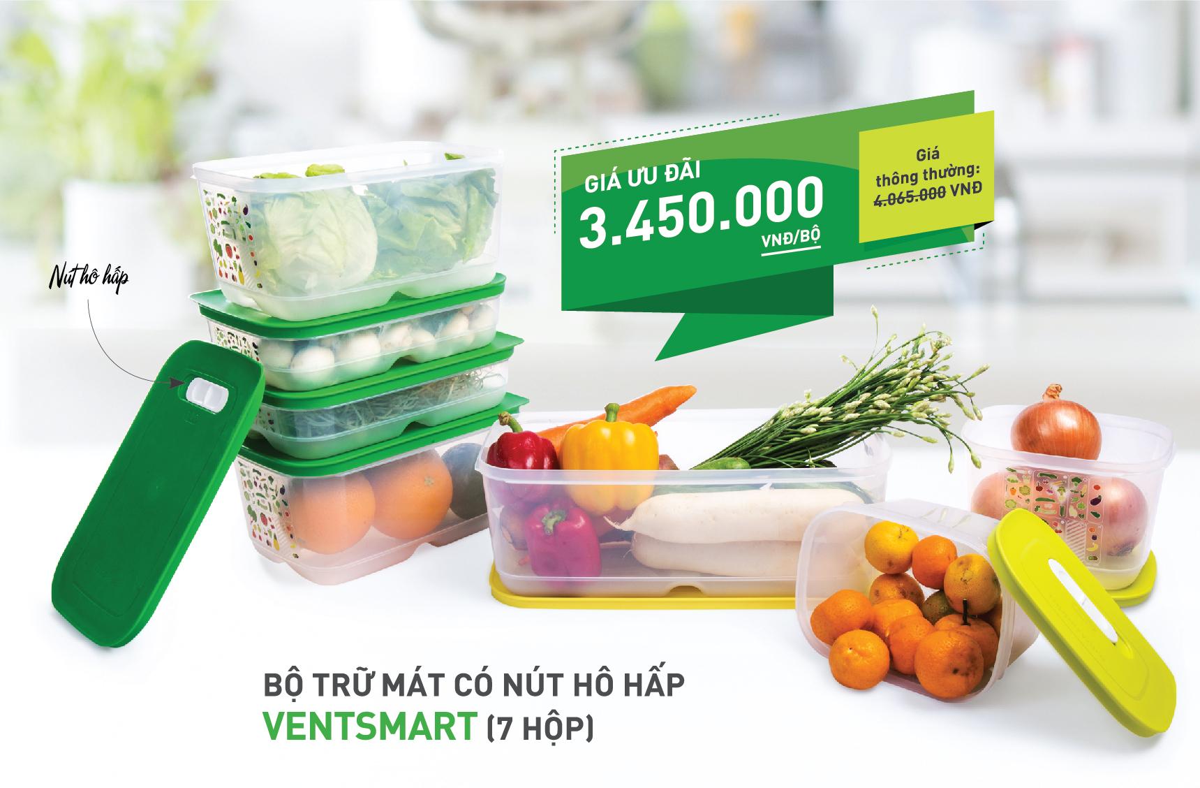 Hộp ngăn mát Tupperware Vensmart 7 hộp