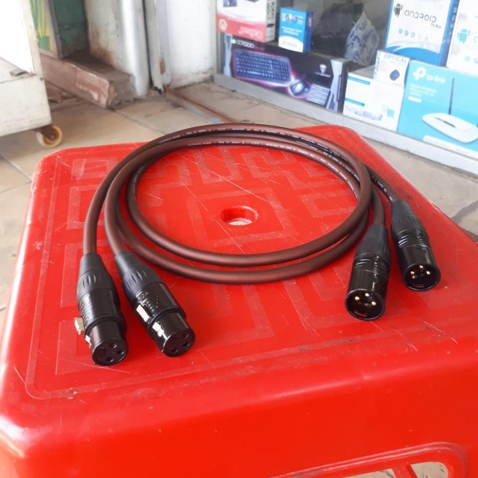 Cặp dây canon Đực ra Cái 1m dây italy