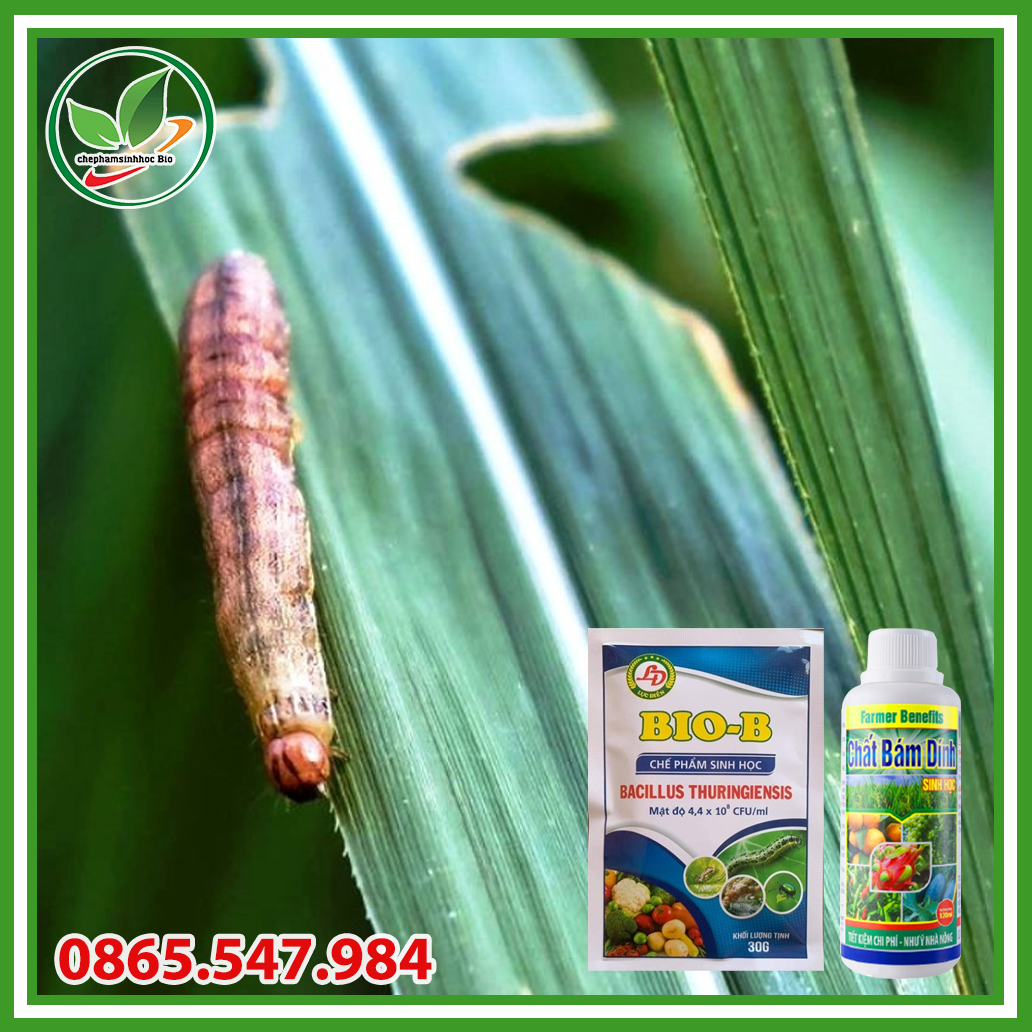 Combo chế phẩm sinh học Bio B 30gram và chất bám dính 120ml.