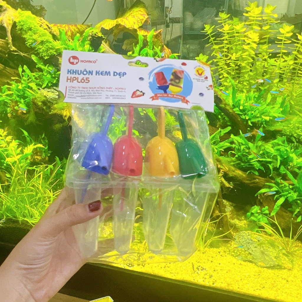 Khuôn nhựa làm 4 que kem dẹp (HOFACO- HPL65)