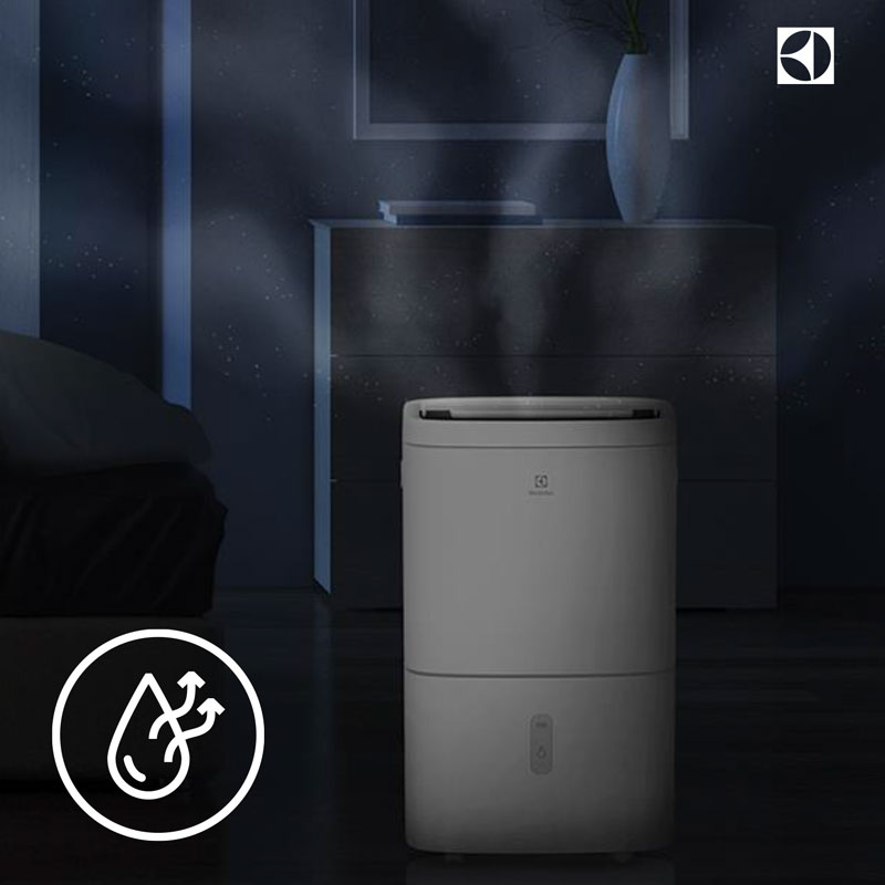Máy hút ẩm điện tử 20L Electrolux EDH10TRW1