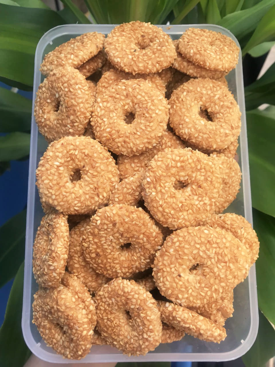 Bánh Vòng Mè - Siêu Ngon - 100G