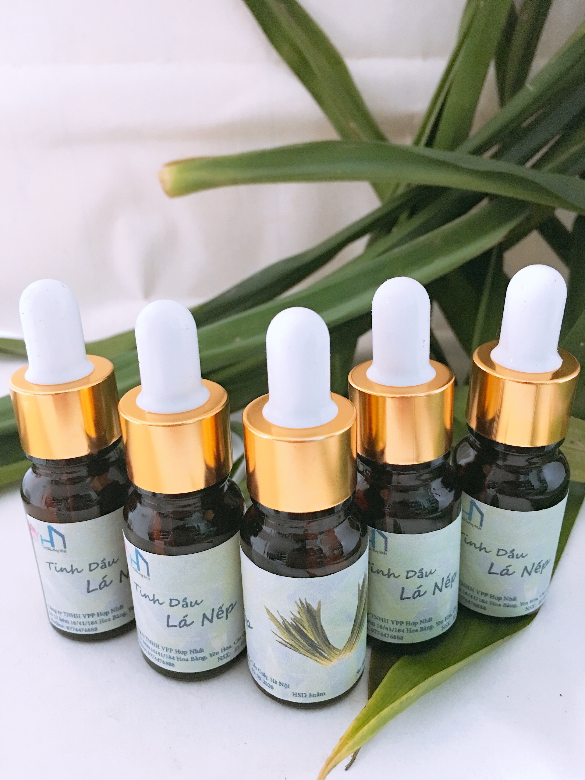 Combo 03 Lọ Tinh dầu Lá Nếp thơm 10ml