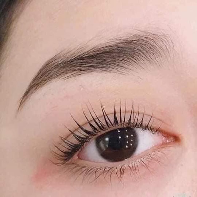 Set uốn mi collagen 6D