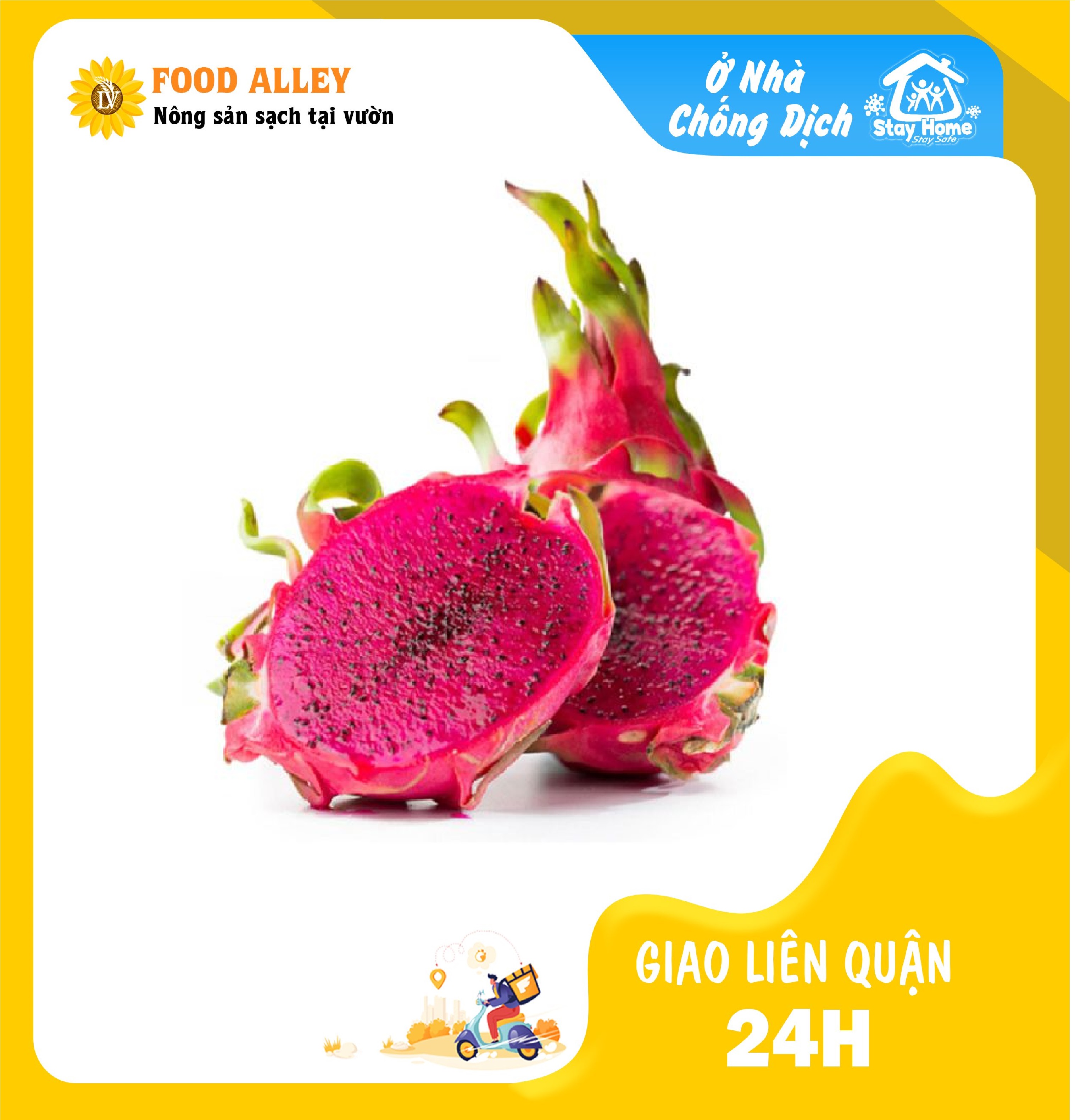 [CHỈ GIAO HCM] THANH LONG RUỘT ĐỎ