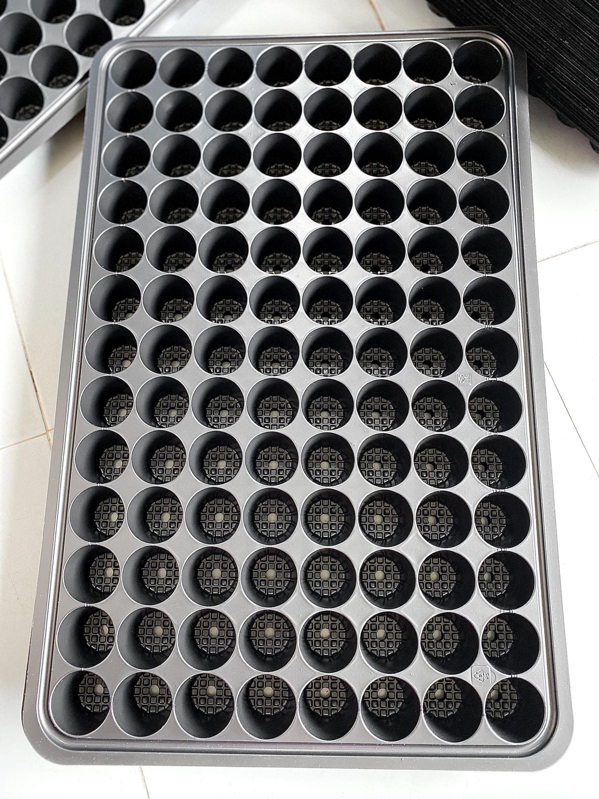 khay ươm 104 lổ (combo 10 khay)