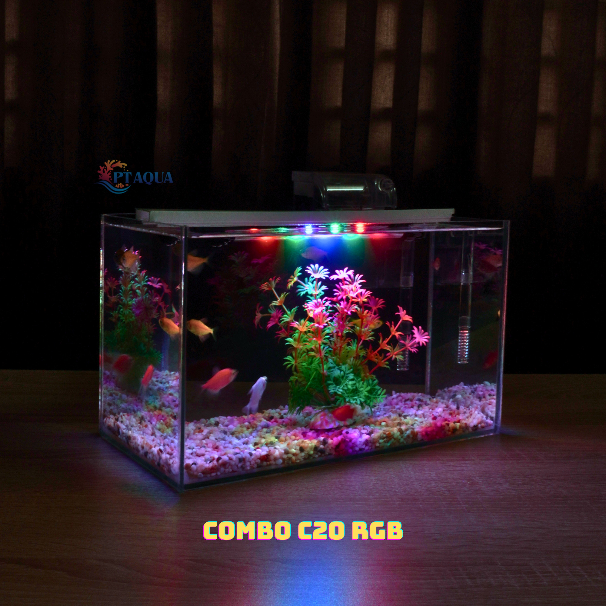 Bể cá mini để bàn full combo đầy đủ phụ kiện kèm khung đẹp mắt