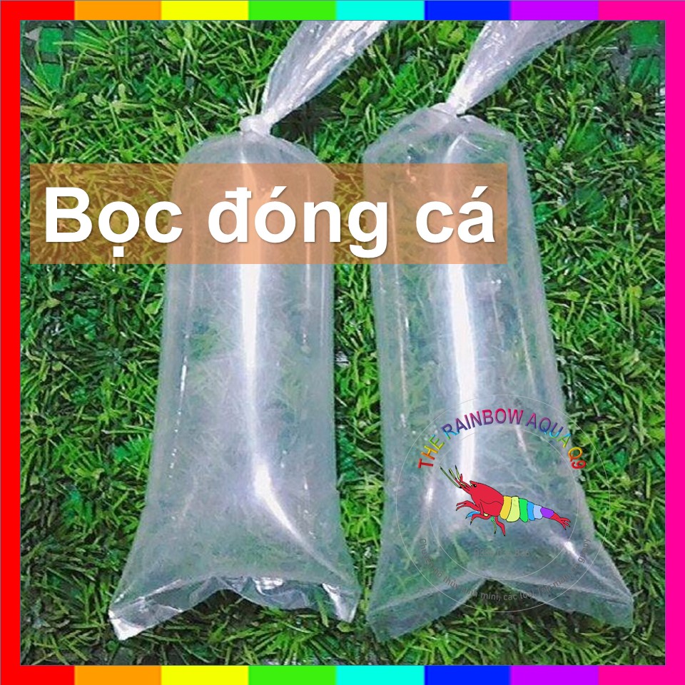 Bịch đóng cá, tép ship đi xa, loại tốt.