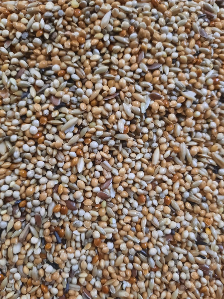 1kg hạt trộn cho yến phụng, parolet