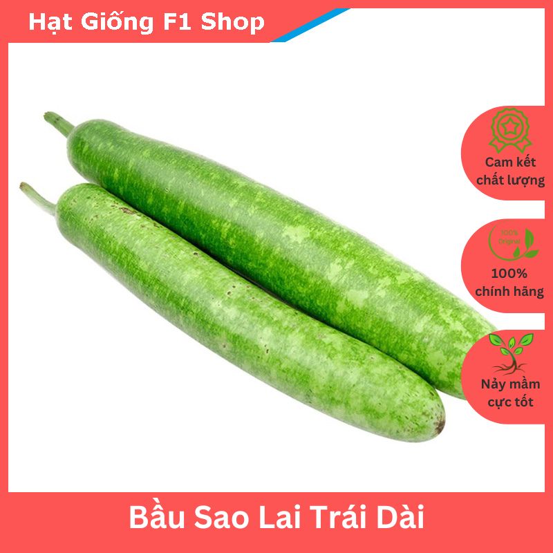 Hạt Giống Bầu Sao Lai Trái Dài Dễ Trồng