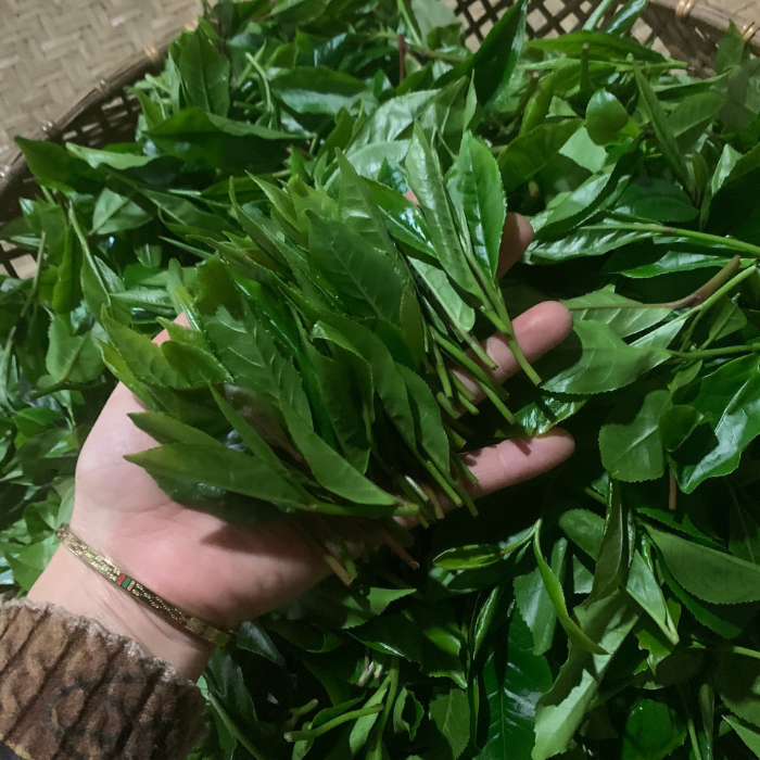 Trà xanh Thái Nguyên Tư Quý(6 gói 100g)