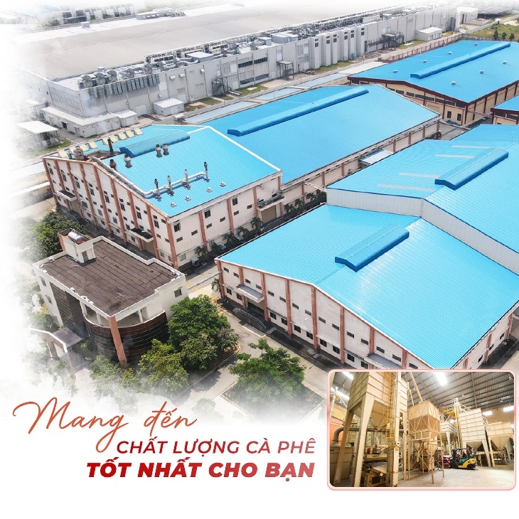 500Gram Cà phê pha phin Chồn Buôn Mê Thuột
