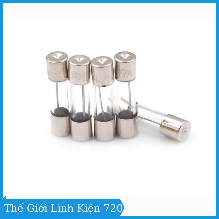Bộ 10 Chiếc Cầu Chì Ống 5x20mm 250V Đủ Loại