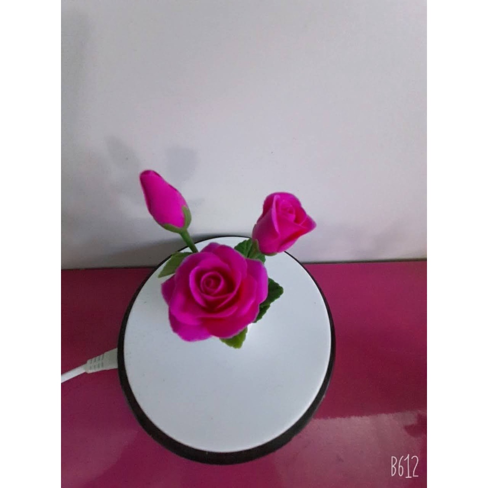 Hồng mini dể thương