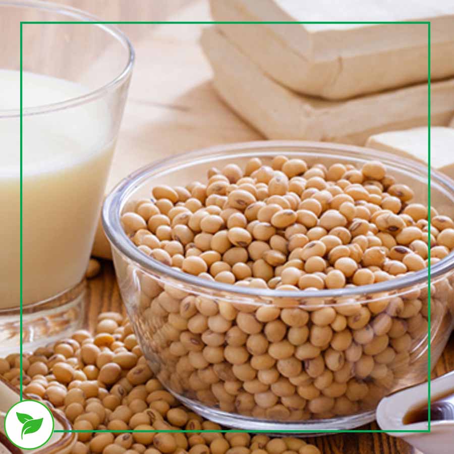 Hạt Đậu Nành, Đậu Tương Vàng Thơm Thuần Chủng - 100g