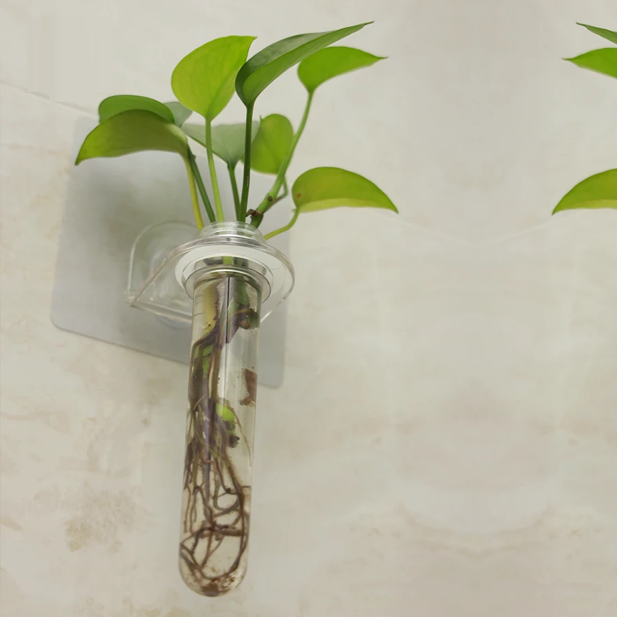Giá treo đỡ cổ chai Nelo