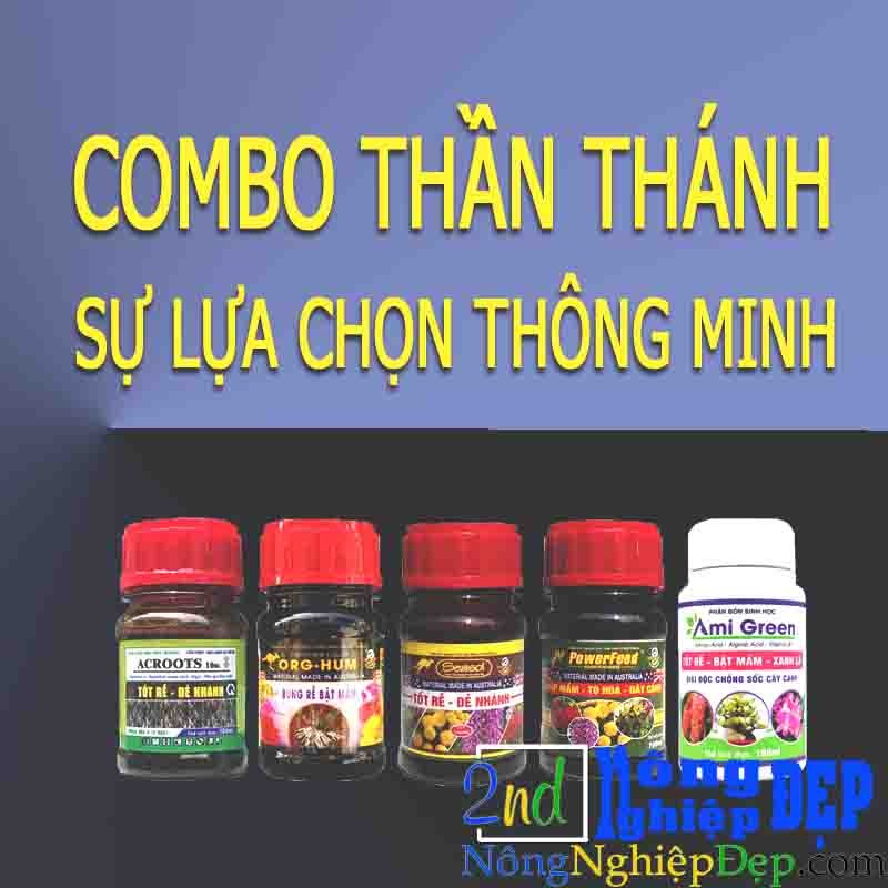 Phân Bón Sinh Học Ami Green – kích mầm, kích rễ