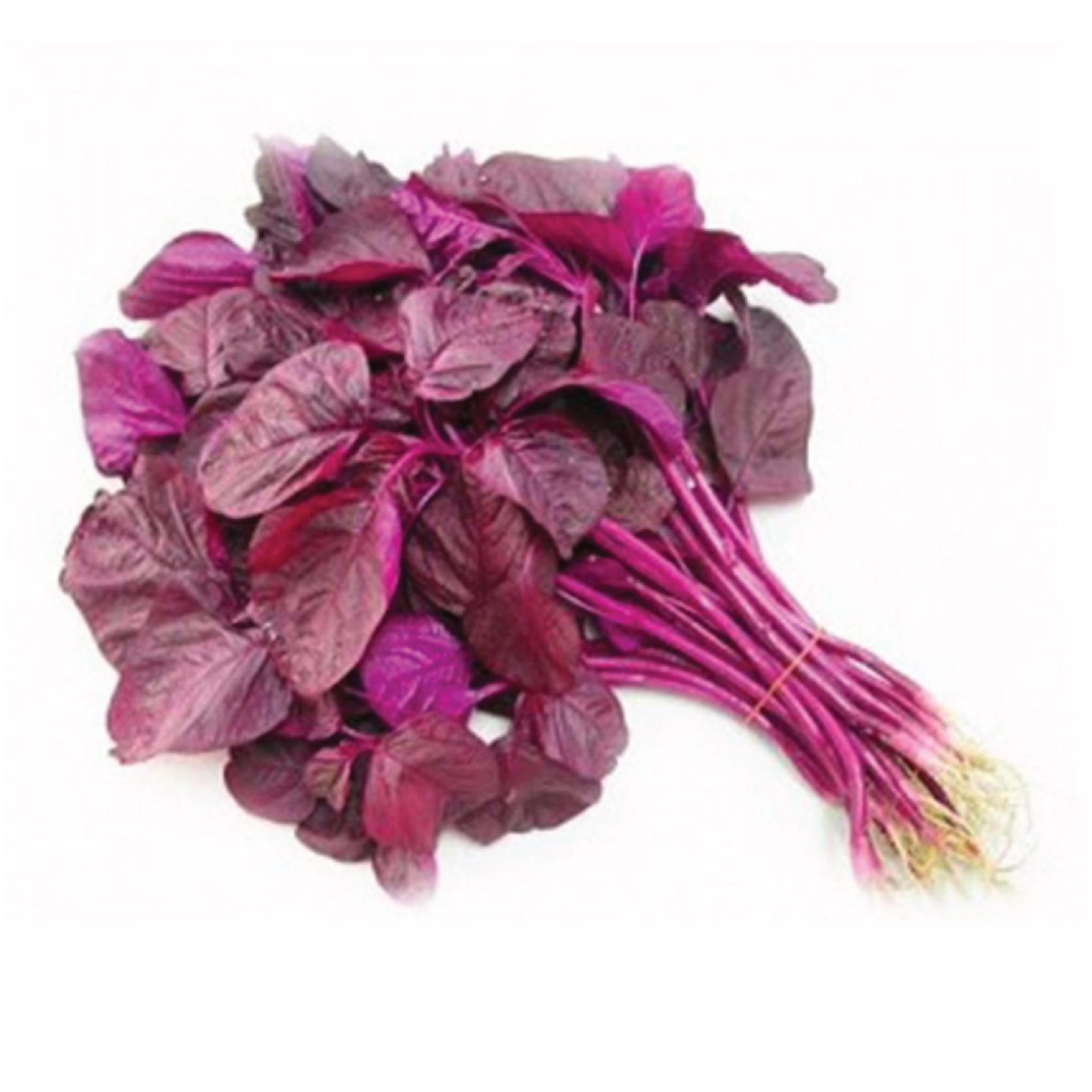 Gói 20g hạt giống rau dền đỏ - Nanuseeds