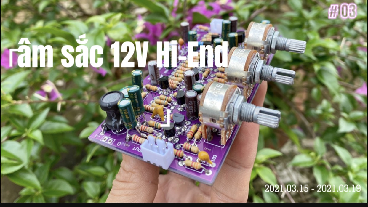 Mạch âm sắc Hi-end 12V 2 kênh